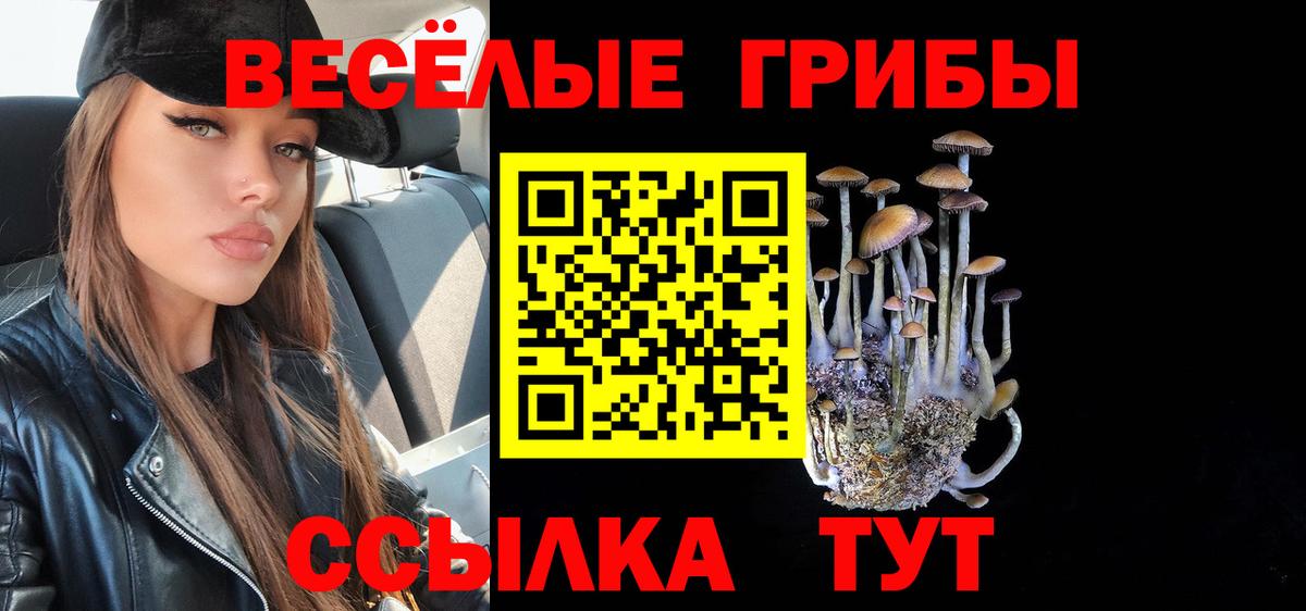 Калуга  Галлюциногенные грибы GOLDEN TEACHER  Вход с VPN 